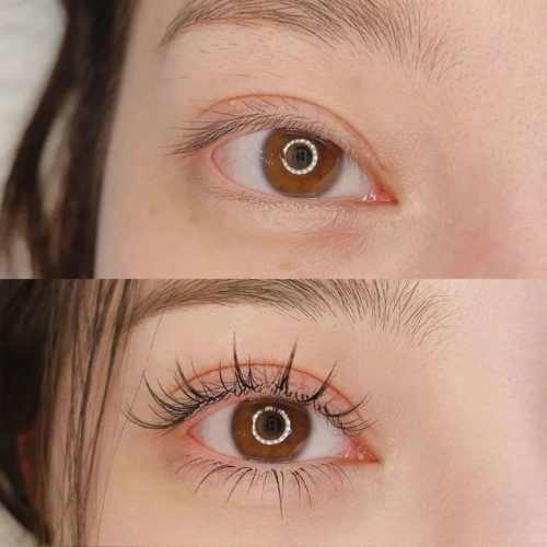 Wispy lash transformation